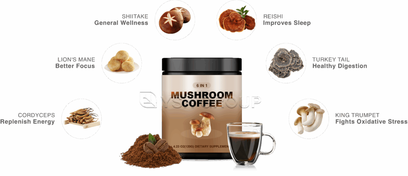 6 IN 1 MUSHROOM COFFEE