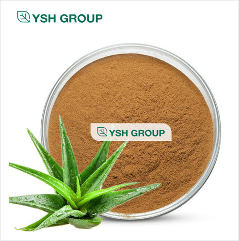 Aloe vera extract
