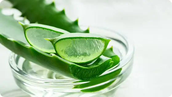 Aloe vera extract