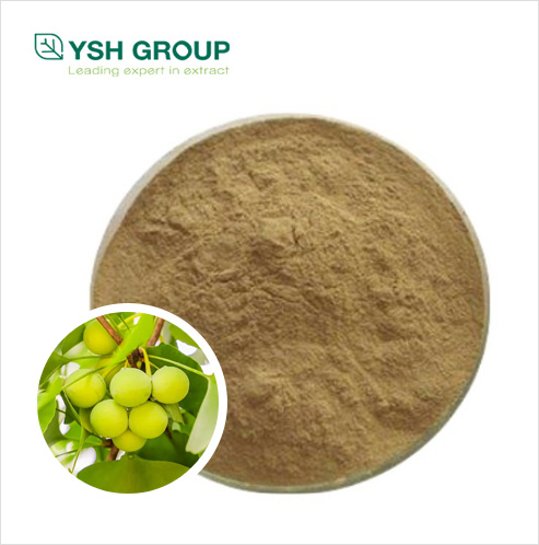 Ginkgo extract