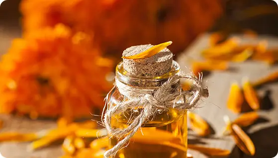 Marigold extract