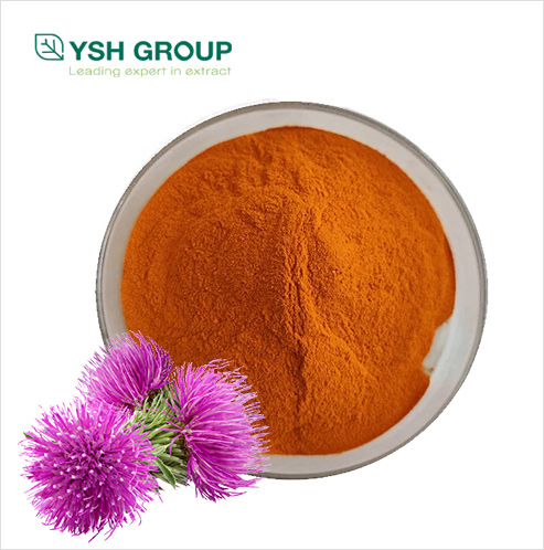 Milk thistle extract