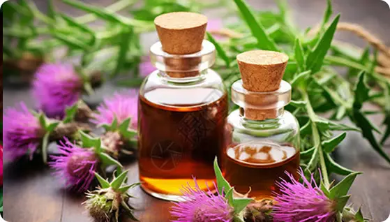 Milk thistle extract video