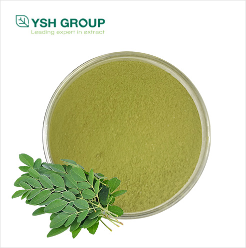 Moringa extract