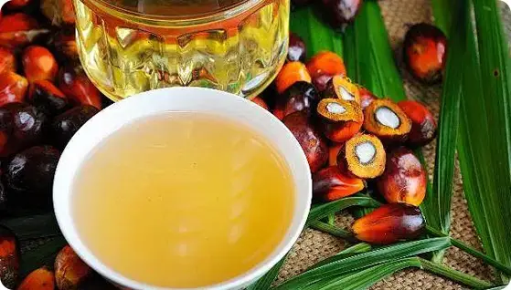 Saw palmetto extract video