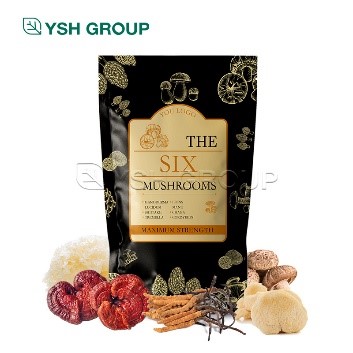 Six Mushroom Extract Powder