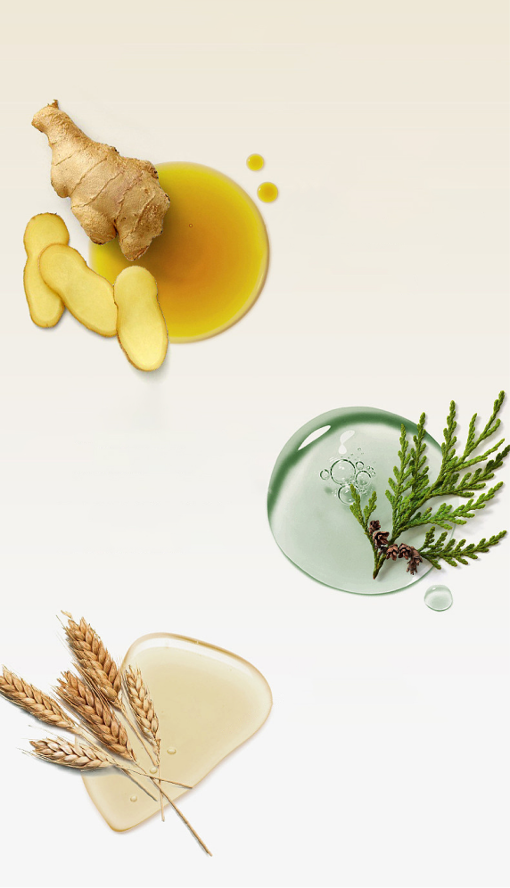 food care - YSH Group food care