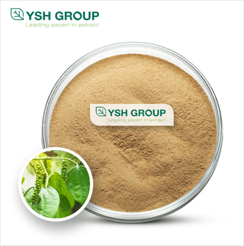 KAVA Extract