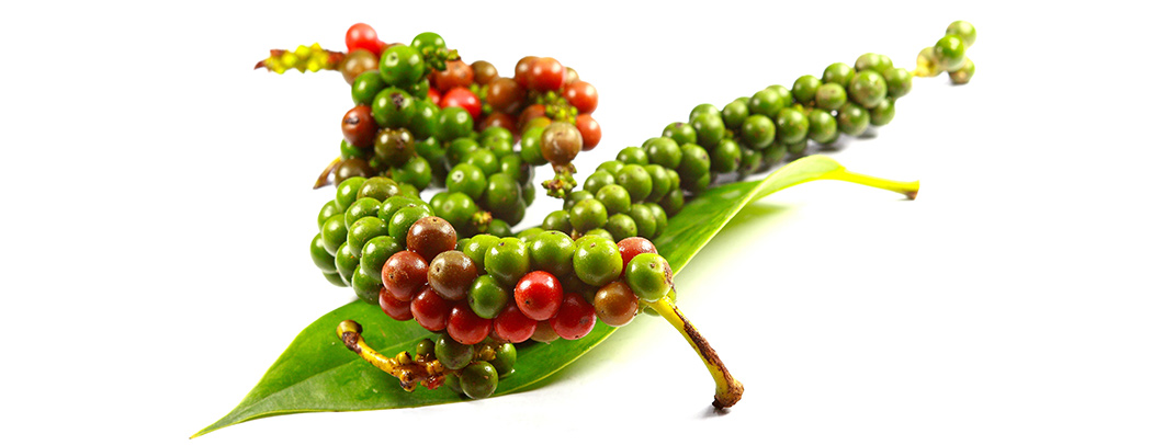 KAVA Extract detail