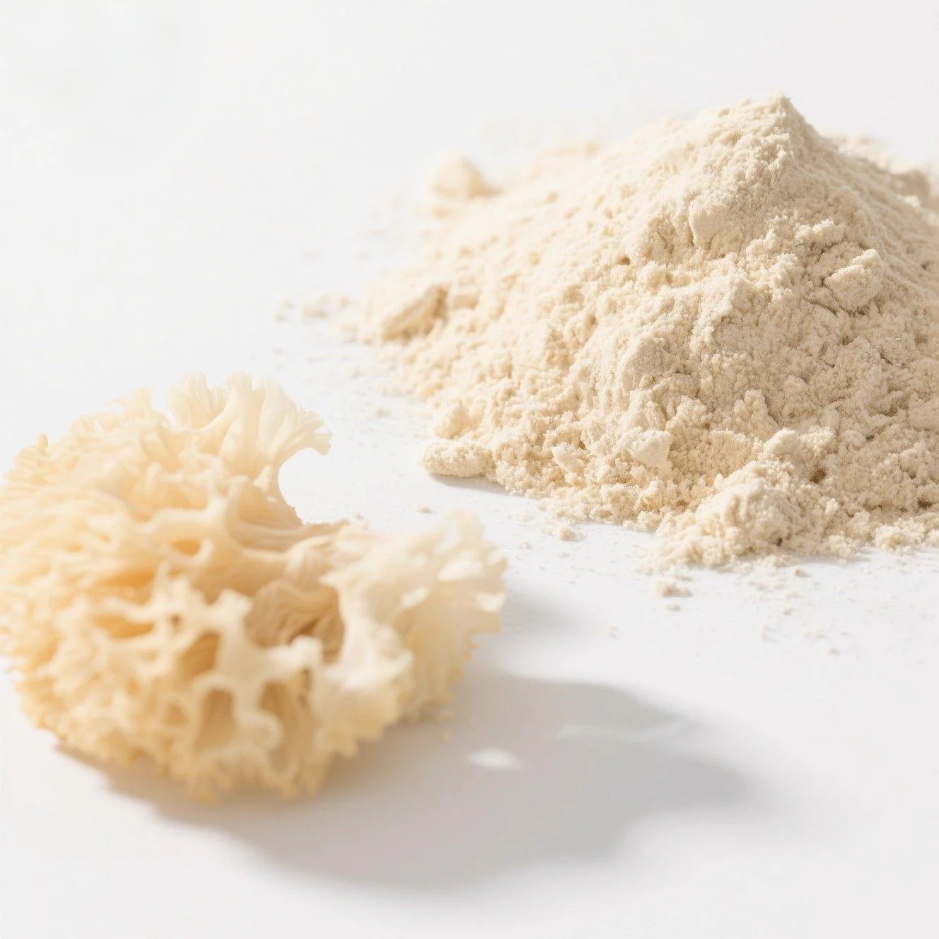 Tremella TremellaExtract